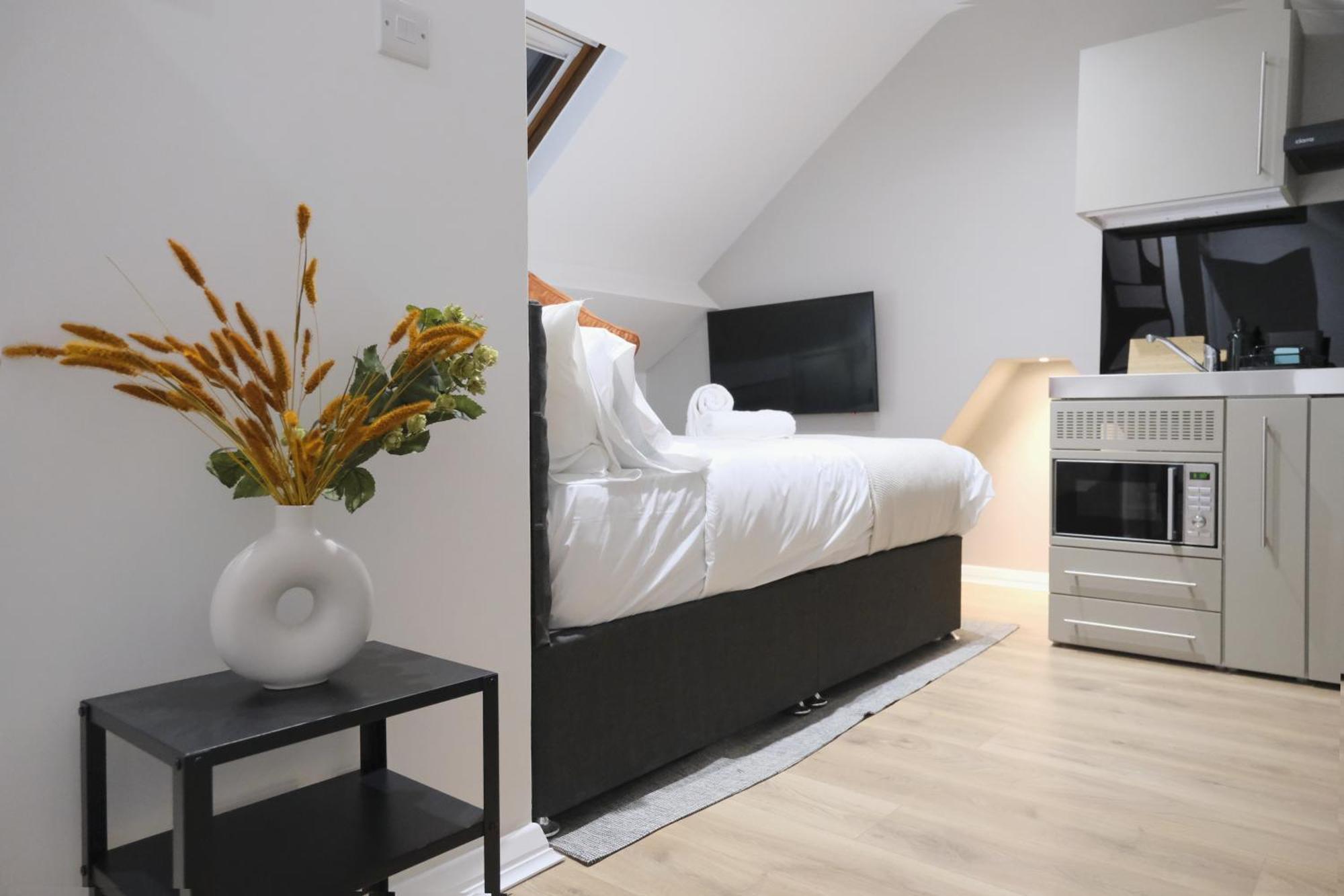 Stylish Studio Apartments, Willesden Londýn Exteriér fotografie